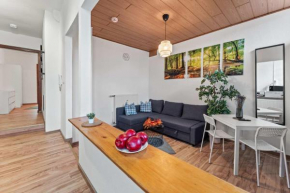 Nice Apartments in Apolda